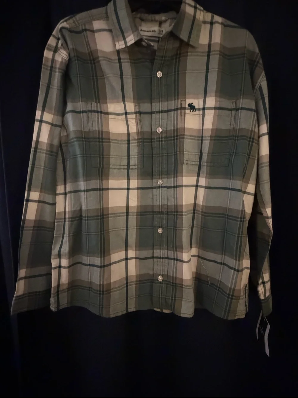 abercrombie kids Green and Cream Plaid Button-Down Shirt